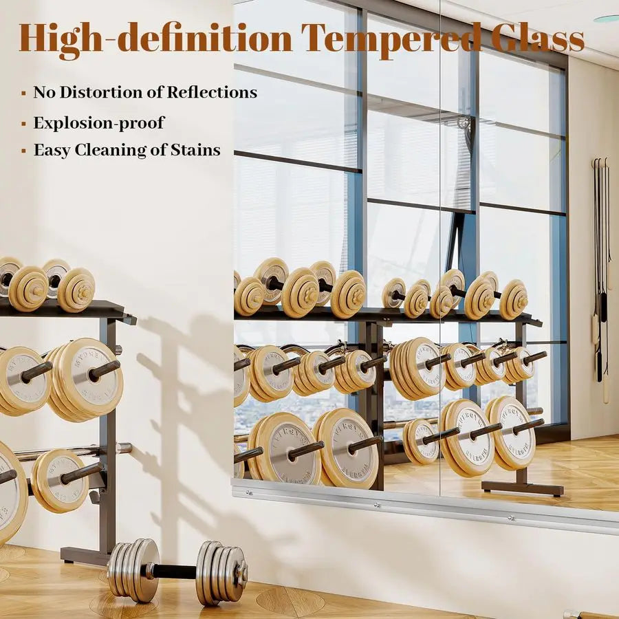 Full Length Body Mirror for Exercise, Fineness,