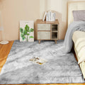 Soft Area Rugs for Living Room Non-Slip