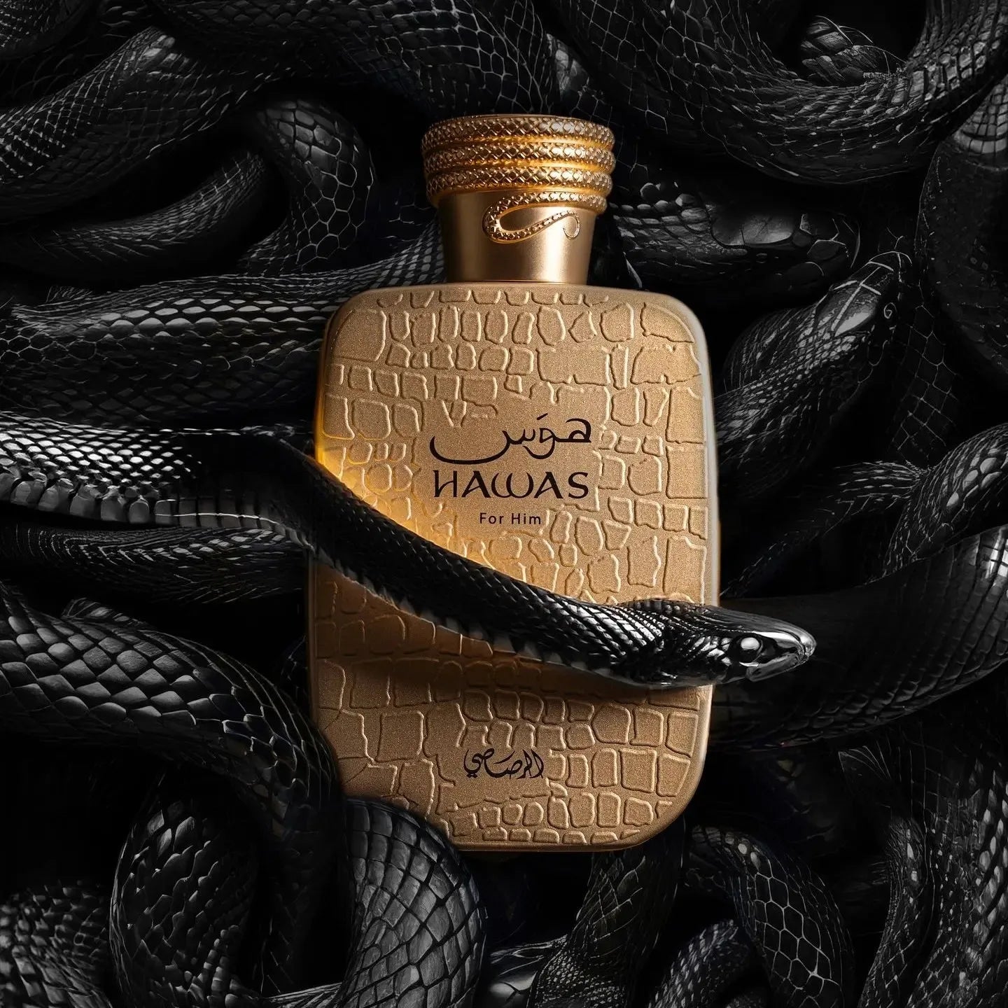 Hawas Viper Fragrance for Men